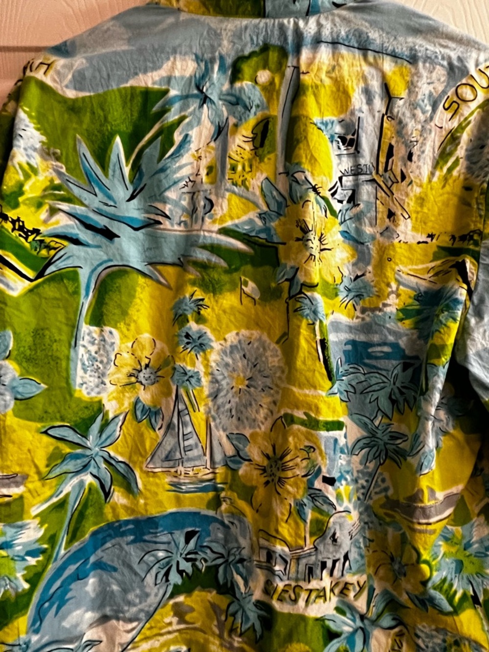 CARRIE ALLEN ~ COSMIC BLUE BEACH SCENIC SKETCH JACKET ~ XL - Picture 11 of 15